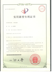 Cable Ties  Patent Certificate No:2342348