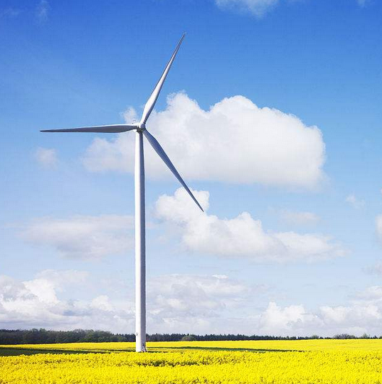 Vietnam's Ministry of Industry and Commerce proposed to increase wind power prices