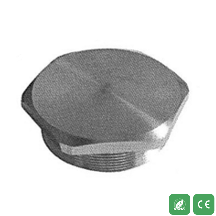 Hexagonal stainless steel plug  MSPS