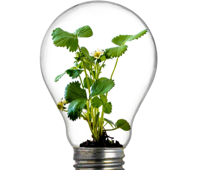 Analysis of Technical Requirements for Plant Lighting Manufacturers and Customer Distribution Research