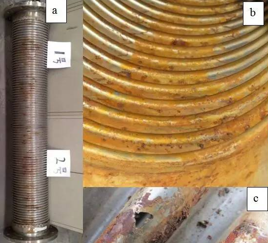 Metal hose corrosion analysis